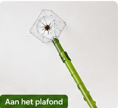 Telescopische Spinnenvanger — 80 cm, voor hoge hoeken en plafondranden